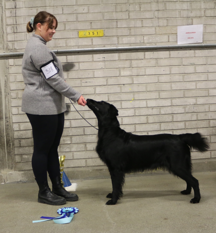 BIS_VET kuva